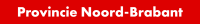 PNB-Logo-100pt-RGB-2.2